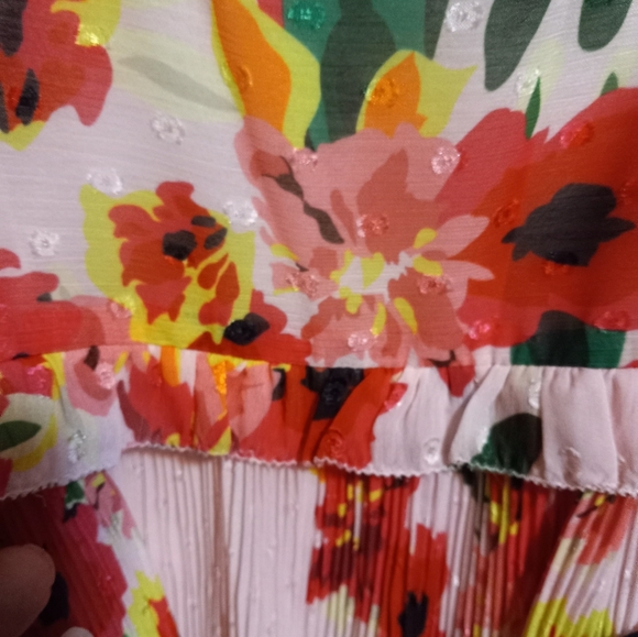 𝅺NWT Anthropolgie Foxidox Floral Accordian Pleated Dress - Picture 11 of 14